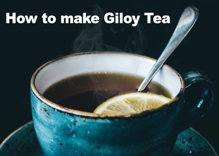 how to make Giloy tea