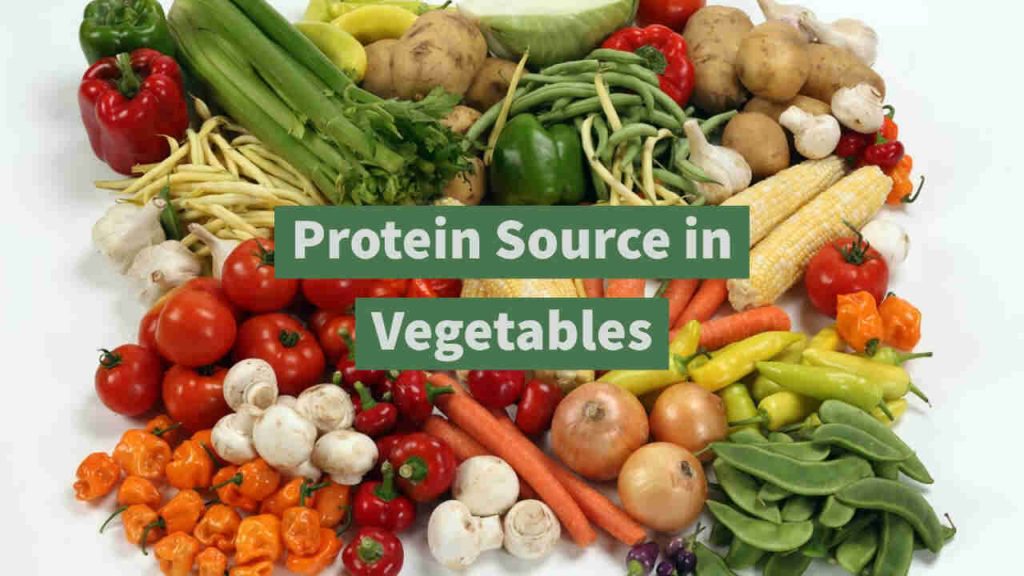 protein sources in vegetable