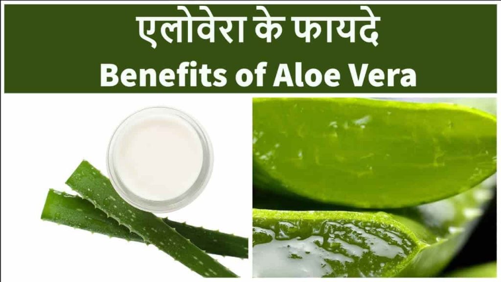 aloe vera ke fayde