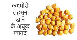 Read more about the article कश्मीरी लहसुन खाने के फायदे – Kashmiri Garlic 10 Benefits