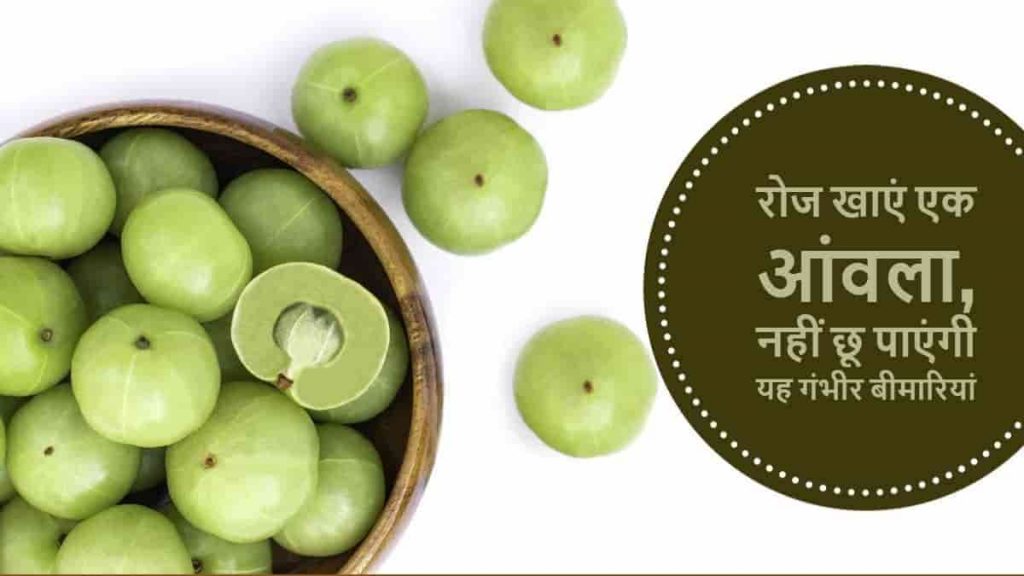 amla benefits in hindi