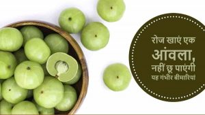 Read more about the article आंवला खाने के फायदे – 10 Amla Benefits in Hindi