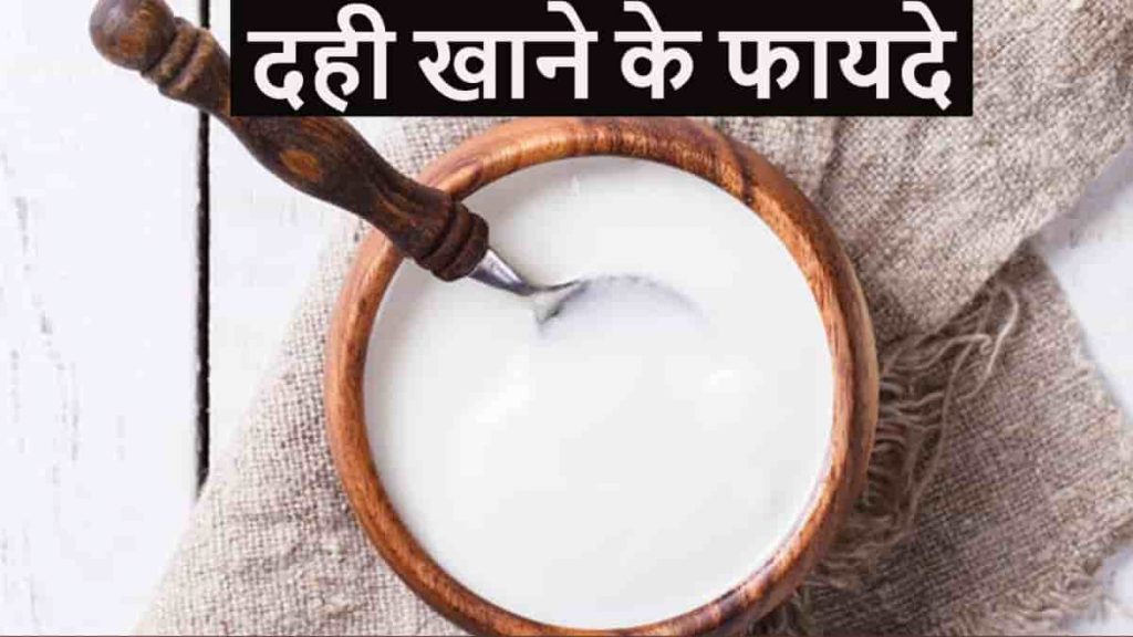 dahi khane ke fayde in hindi