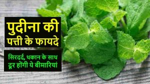 Read more about the article जानिये पुदीना की पत्ती के फायदे – 10 Benefits of Pudina in Hindi