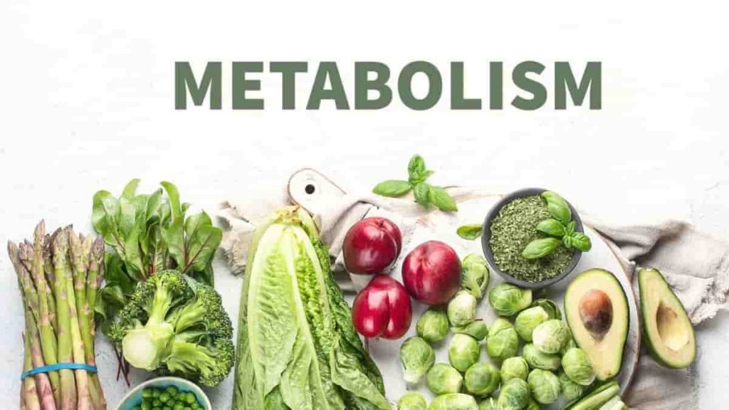 How to Increase Metabolism in Hindi