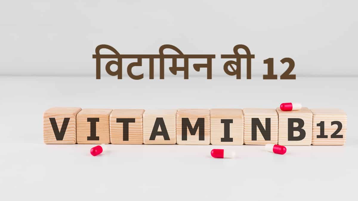 sources-of-vitamin-b12-in-hindi